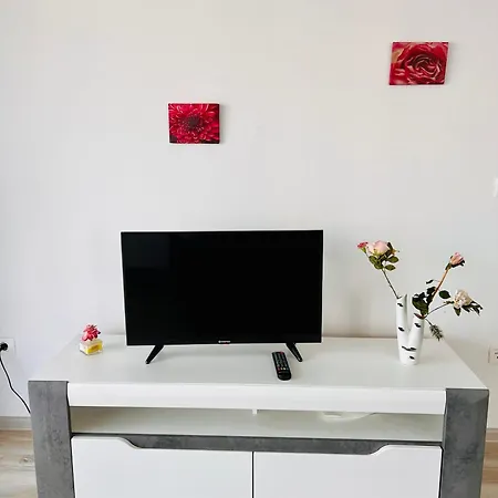 Cozy Coresi Studio