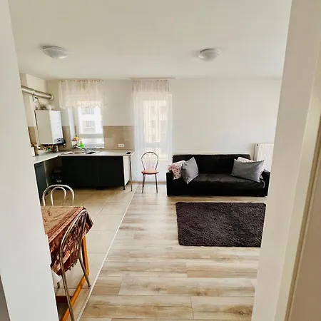Appartement Cozy Coresi Studio *